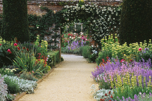 expressions-of-nature:by ukgardenphotosMottisfont Abbey Rose Garden, Hampshire, England