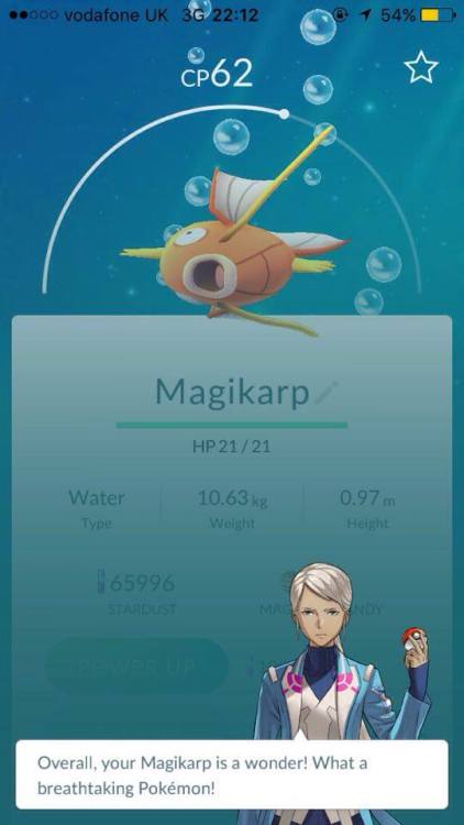 Even the Magikarp is surprised.