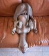 XXX itsagifnotagif:Dogs really do sleep like photo