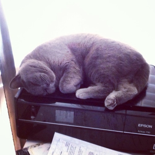 Epson warmer.