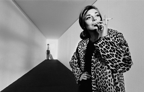 criterionfilms: The Graduate (1967)