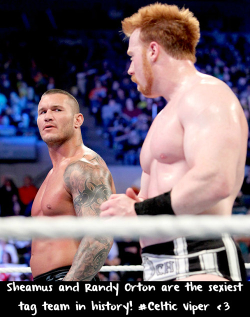 wwewrestlingsexconfessions:  Sheamus and Randy Orton are the sexiest tag team in history! #Celtic Viper <3