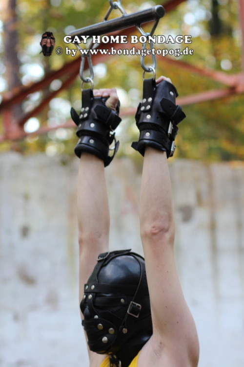 RUBBER-PUPPY RUGI