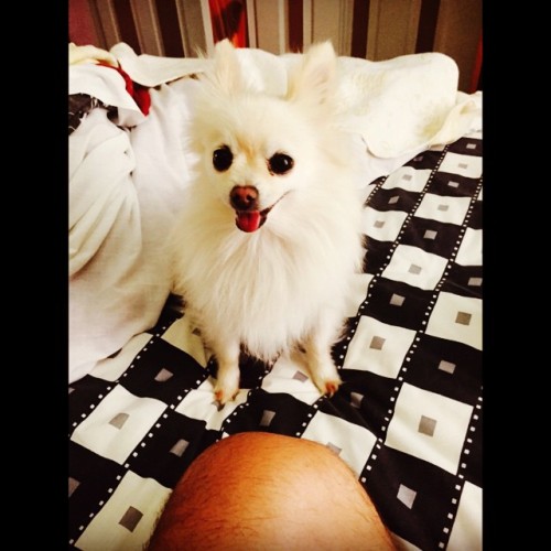 Porn photo #mylittlegirl #queeny #cutie #pom