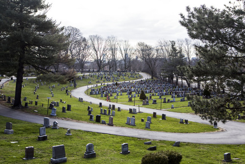 A quiet sunny morning in the Cambridge Cemetery on April 20, 2018. There are only 400 new plots left