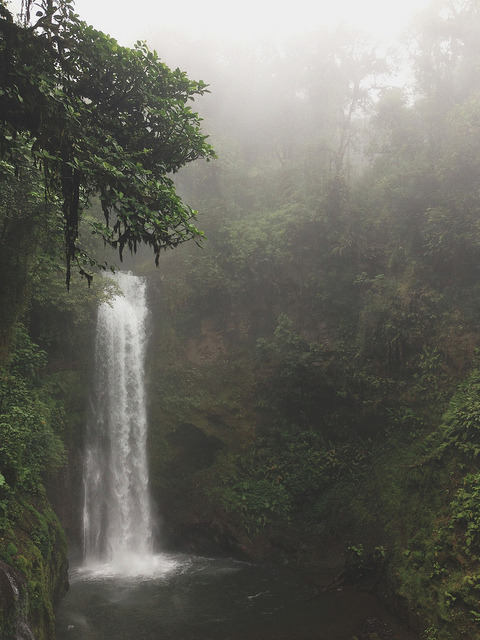 enchantedtearz:  Untitled