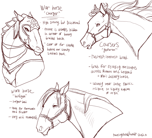 travelingfinrod:*wakes up in a cold sweat to draw out headcanons for rohirric horse breeds and types