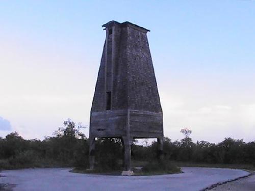 In 1929 a "Bat Tower" was built in the Florida Keys to control mosquitoes. It was filled with bats, which promptly flew away - never to return.