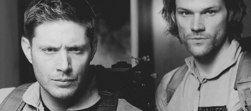 lemondropsonice:The Hillywood Show - SPN Parody 2 (x) orThe “my little random moments of pleasure” s