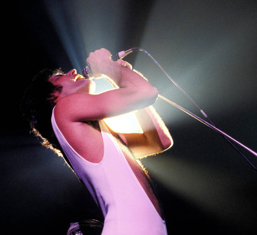 soundsof71: Freddie Mercury, lit, NY 1978, by Richard E. Aaron