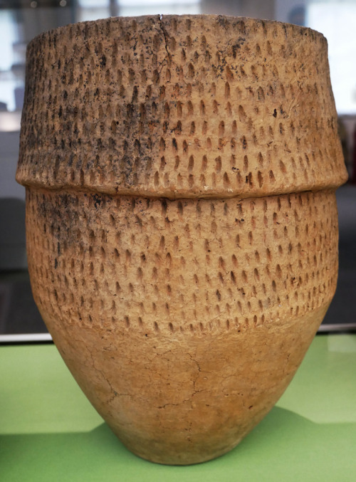 Bronze Age Beakers, Weston Museum and Art Gallery, Sheffield, 7th October 2017