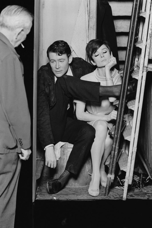 matineemoustache:Peter O’Toole & Audrey Hepburn by Terry O’Neill On the set of How To Steal A 