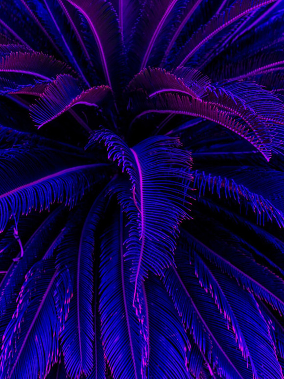 persons aesthetic | Tumblr