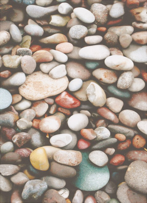 kintype-aesthetic: Freshwater river mermaidkin aesthetic partially suggested by anon! x x 