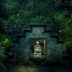 heroinsight:  Bali / Nature / Rainforest (by ►CubaGallery)