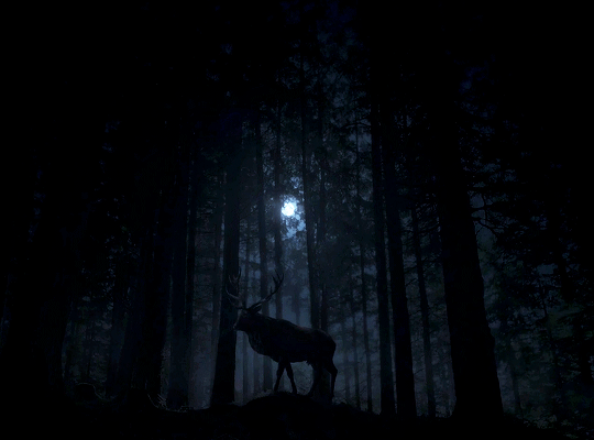 4a2b601568104e1d24b772907e0c3363227832ac.gif