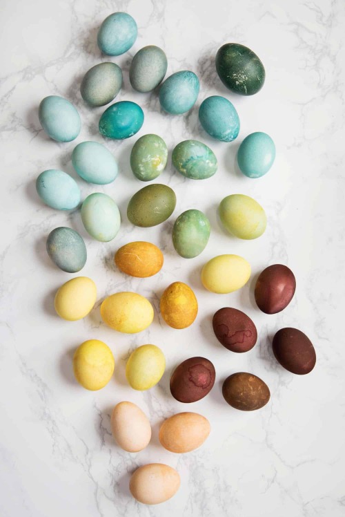 Pretty, yes? The Easter eggs in the top photo were dyed using everything from turmeric and spinach t