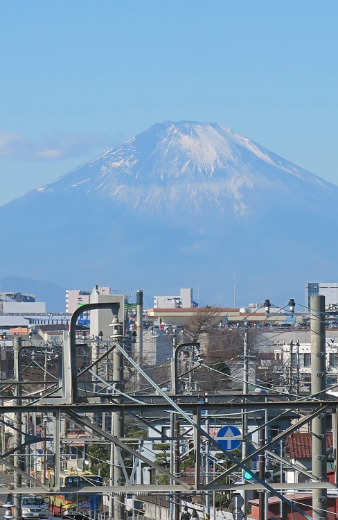 Mt.Fuji ,Fujisawa