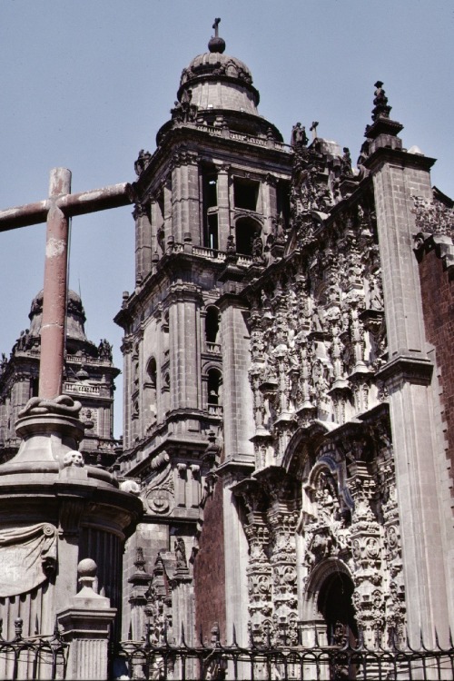 Catedral, Ciudad de México, 1979.