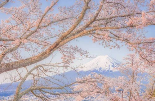 landscape-photo-graphy:Photographs of Japan’s Stunning Landscape That Look Like Watercolor Pai