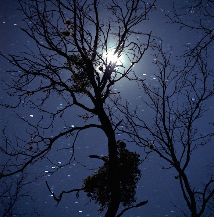 nevver:  Darkness on the edge of town, Teresa Munisteri