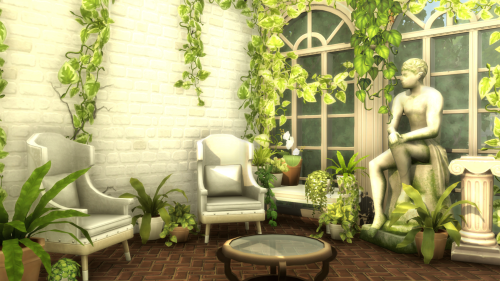 Blooming Rooms Kit Separated Plants
