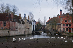 just-wanna-travel:   Bruges, Belgium 