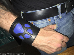 My new leather pup gauntlet arrived safe and sound: Click for review and some tips on making sure it fits nice and snug.http://thehappypup.com/new-leather-pup-gauntlet-has-arrived/