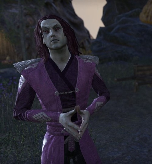 frostfallarcher: ESO Elves I LOVEPart Three “I’m a natural disaster masquerading as