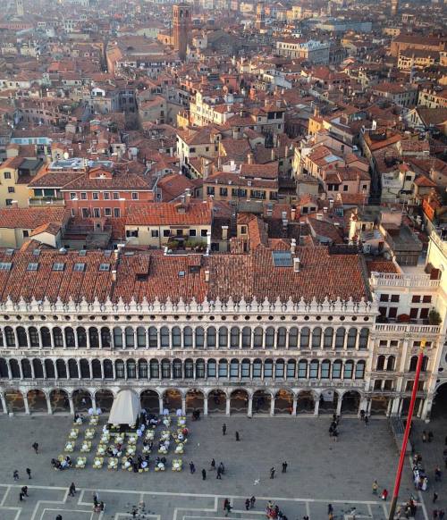 view of the tops from the top.  #pfsnaps #pf #snaps #venice #rooftops #venezia #italy #landscape #ph