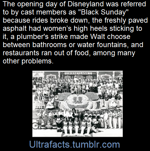 ultrafacts:    On July 17, 1955, Disneyland opened its gates for the very first time.