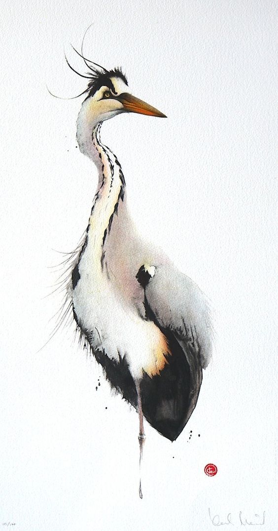 littlelimpstiff14u2: Karl Martens creates beautiful watercolours of birds with Calligraphy