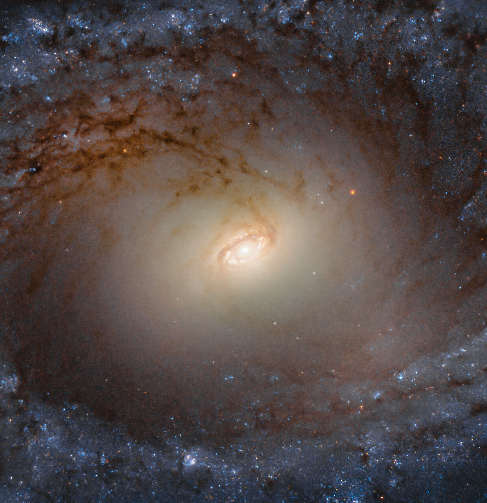 Hubble’s Close-Up of Spiral’s Disk, Bulge by NASA Goddard Photo and Video