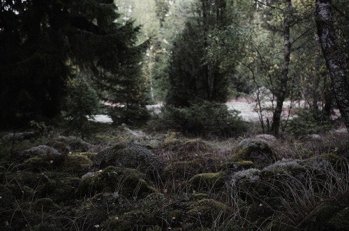 heathenharnow: Där långa skuggor ruva - Part V - XV, XVI© Heathen Harnow -