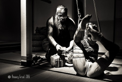 amaury-grisel-shibari:  @dirtyvonp &