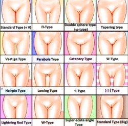 myhotlips:  Which one are you ??