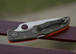 sonderzug:  Spyderco Endura dual-color http://forum.knives.pl/index.php/topic,158201.0.html