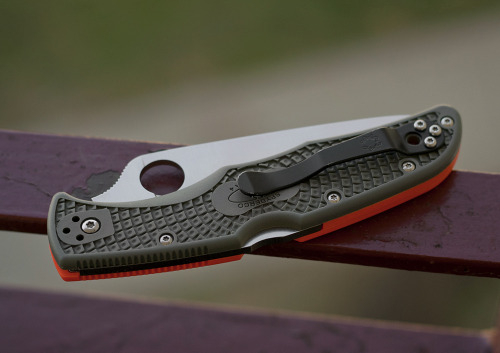 Porn photo sonderzug:  Spyderco Endura dual-color http://forum.knives.pl/index.php/topic,158201.0.html