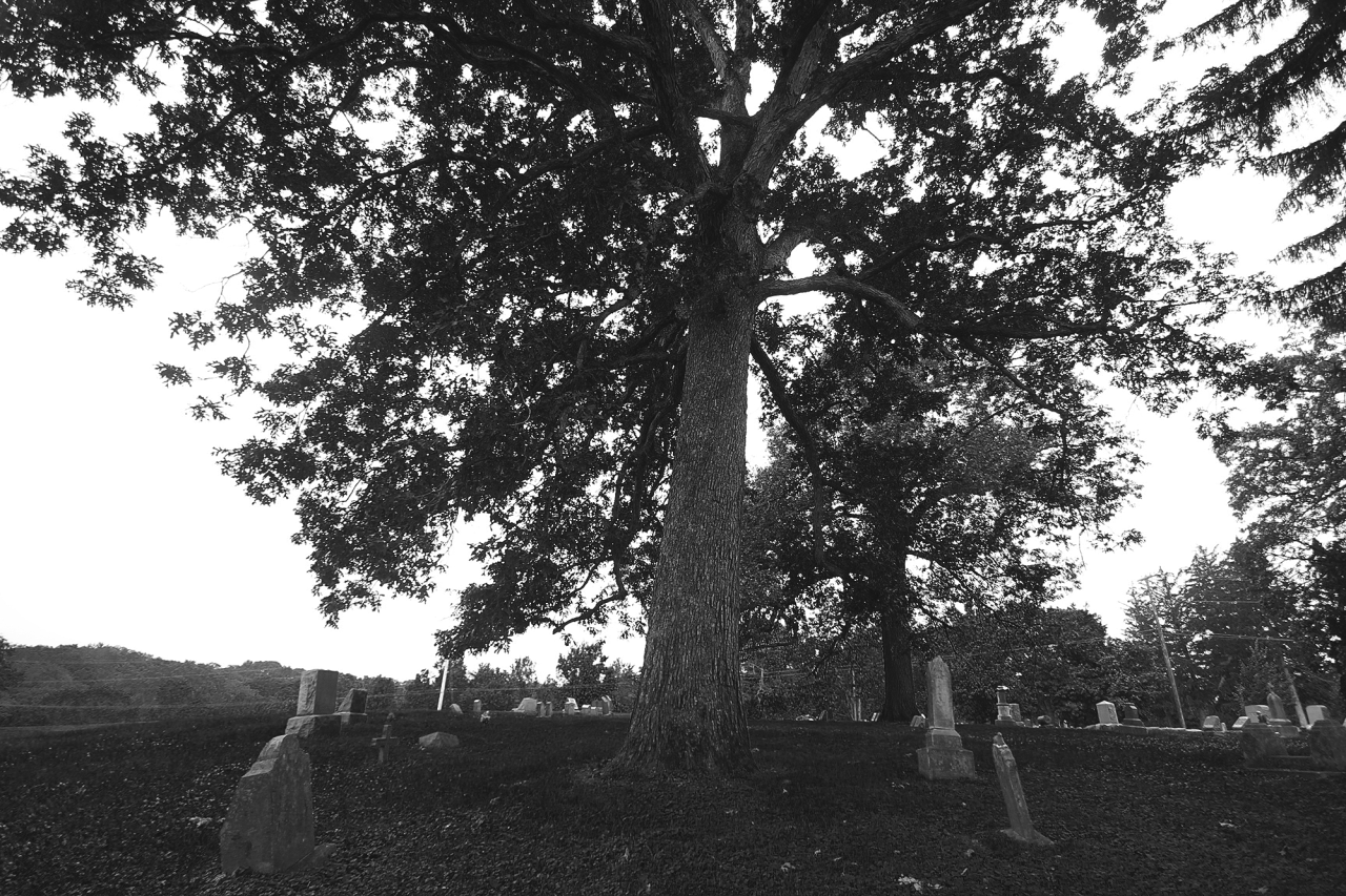 garettphotography:  Chippiannock Cemetery | GarettPhotography 