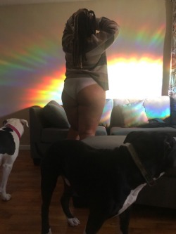 accarahara:  broccoli-goblin:  accarahara:  Better ones are on my instaInsta:accarahara   MY MOUTH IS AGAPE  😍You’ve placed so many of my favorite things in one photo! Booty, doggies, RAINBOW, comfy grey couch !!!   You’re so fucking sweet omg