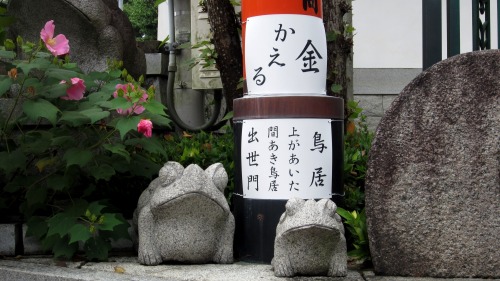 Frog statues at Fushimi Inari. They are considered good luck for finances and other things.