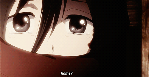commandereyebrows:  slay-kyojin:  shingekinodenim:  PEOPLE GIVE MIKASA SO MUCH SHIT and it’s funny, but seriously, picture that your parents were brutally murdered in front of you - Eren literally saved her LIFE, taught her to defend for herself, provided