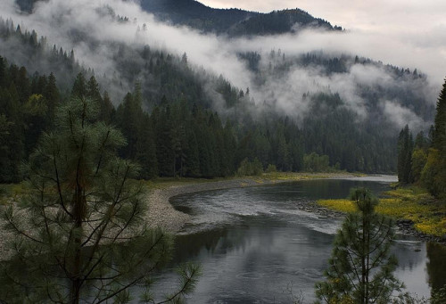 persolum: Clearwater River 4 by HIWalkerPhoto on Flickr.