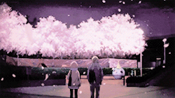 harukasenpais:  Kuriyama Mirai + Cherry Blossoms 
