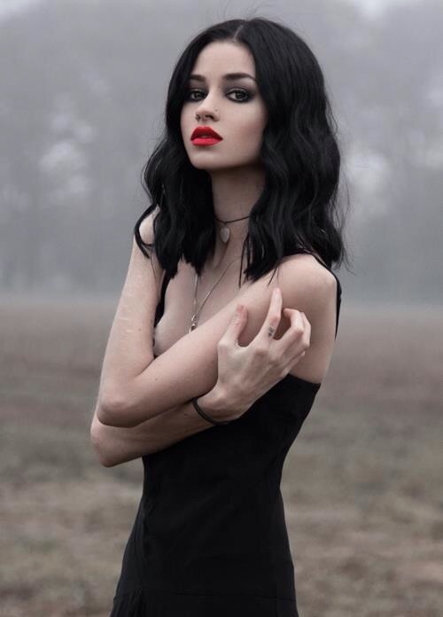 Felice fawn