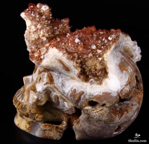 mineralists:Red Quartz craved crystal skull by Skullis