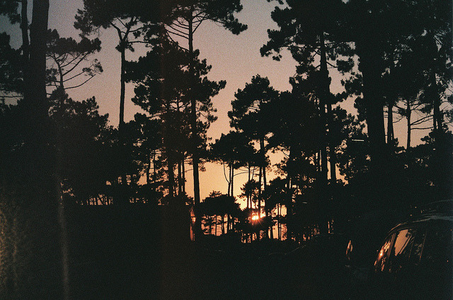 untrustyou:  Marine Beccarelli 