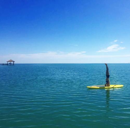 Good morning and happy Monday!#paddleboarding #headstand #yoga #ocean #yogi #waterbaby #yogalife #yo