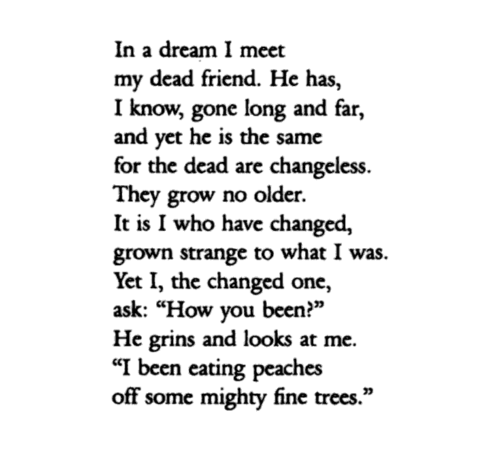 eliamatrell:— WENDELL BERRY, “A Meeting.”