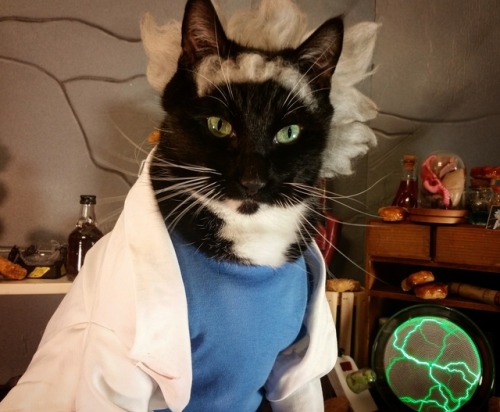 cat-cosplay:Unlike other Ricks, Rick C-41-54 predominantly uses his Morty to place objects on the ta